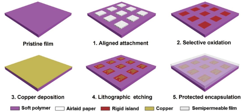 馮1_副本.jpg 馮1_副本.jpg